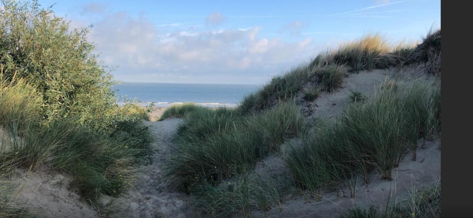 Vacances Relax A Bredene Bagian luar foto